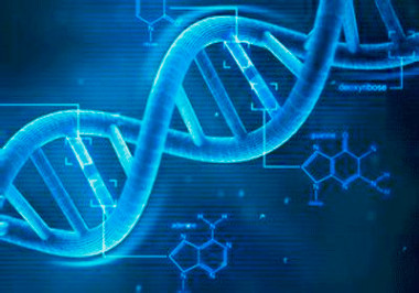 化验所DNA检测